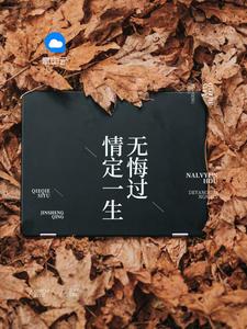 一胎二宝,总裁追妻上瘾沈蔓歌叶南弦