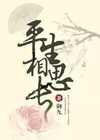 王爷寻妻记