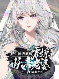双生神级武魂,震惊妖帝老婆!
