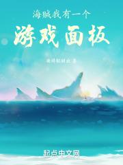 海贼:我有一个游戏面板