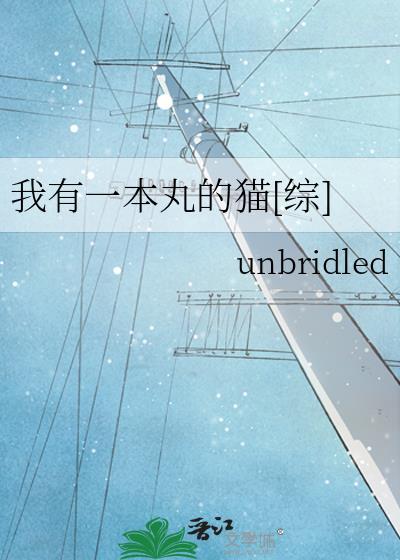 我有一本丸的猫[综]