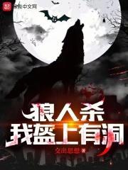 狼人杀:我盔上有洞