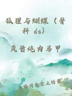 狐狸与蝴蝶(骨科 ds)