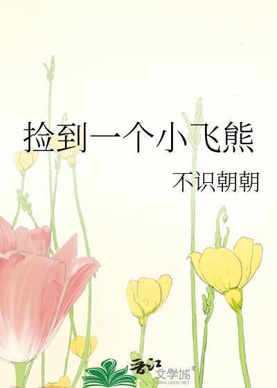 捡到一个小飞熊