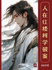 人在红楼,柯学破案