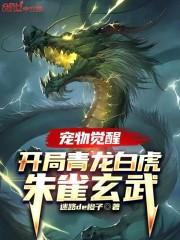宠物觉醒:开局青龙白虎朱雀玄武