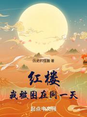 红楼:我被困在同一天