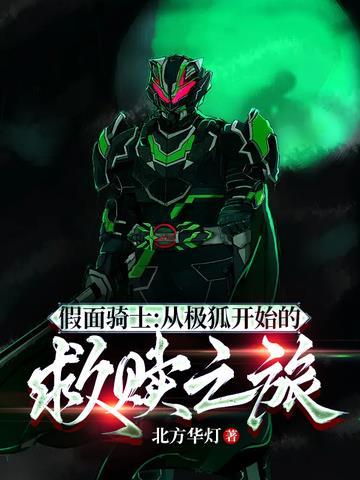 假面骑士:从极狐开始的救赎之旅