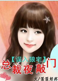 误入狼宅:总裁夜敲门