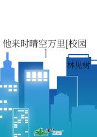 他来时晴空万裏[校园]
