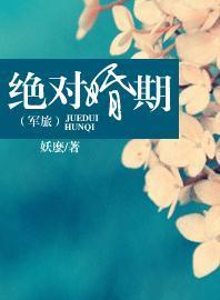绝对婚期(军旅)