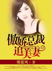 傲娇总裁追美妻