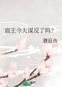 宸王今天谋反了吗?