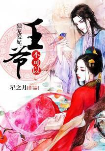 独宠爱妃:王爷,不可以