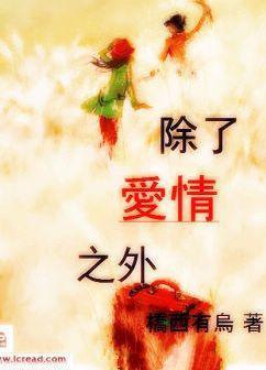 除了爱情之外