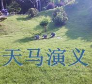 天马演义