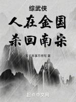 综武侠:人在金国,杀回南宋