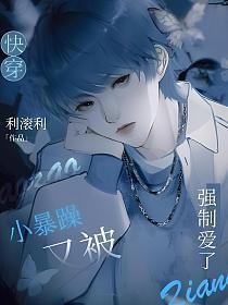 快穿:小暴躁又被强制爱了