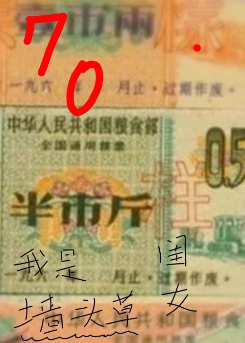 我是墻头草的闺女[七零]