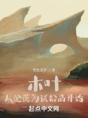 木叶:从沦落为试验品开始