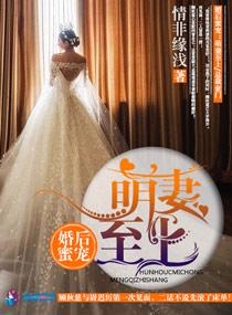 婚后蜜宠:萌妻至上