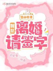 替身娇妻:贺总,离婚请签字