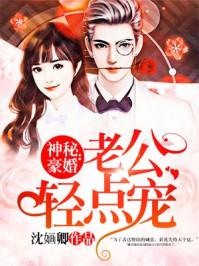 神秘豪婚:老公轻点宠