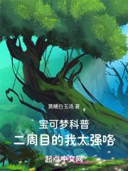 宝可梦科普,二周目的我太强咯