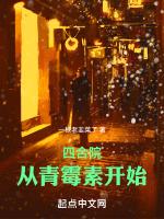 四合院:从青霉素开始
