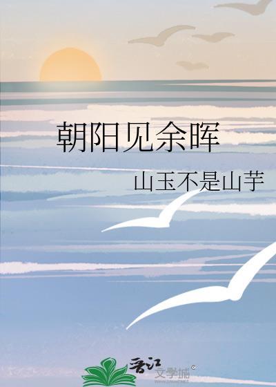 朝阳见余晖