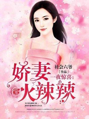 一夜惊喜:娇妻火辣辣