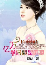 午夜娇妻：亿万老公是匹狼