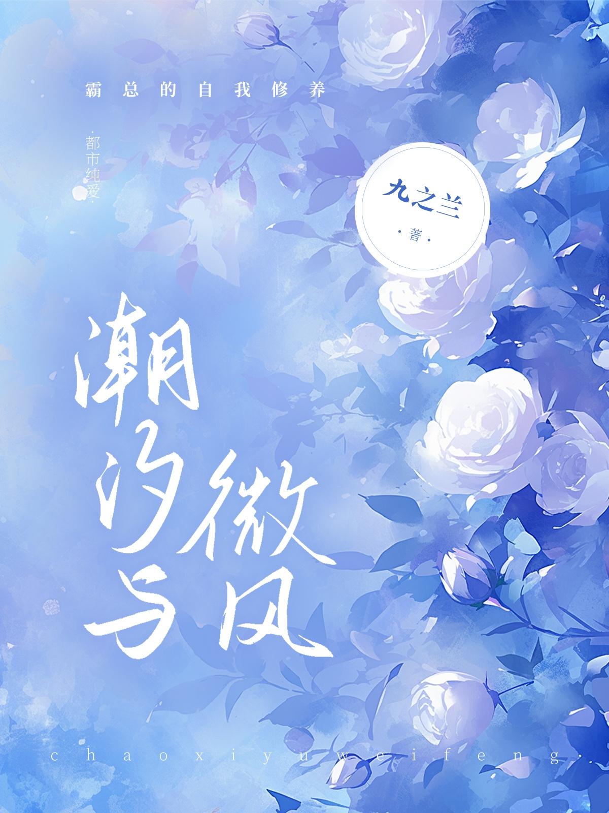 潮汐与微风