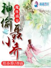 魔尊盛宠:神偷聂小乔