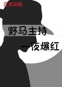 野马主持，一夜爆红[娱乐圈]