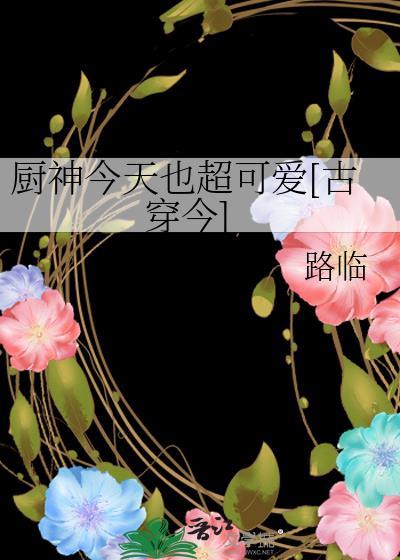 厨神今天也超可爱[古穿今]