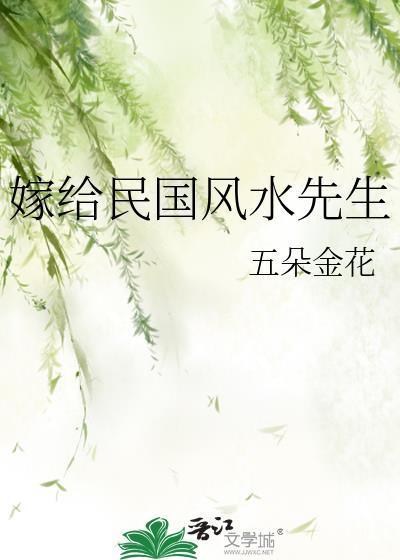 嫁给民国风水先生