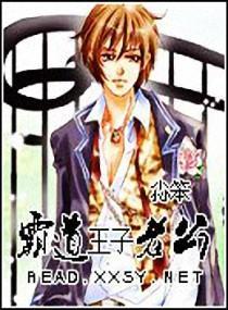 霸道王子老公