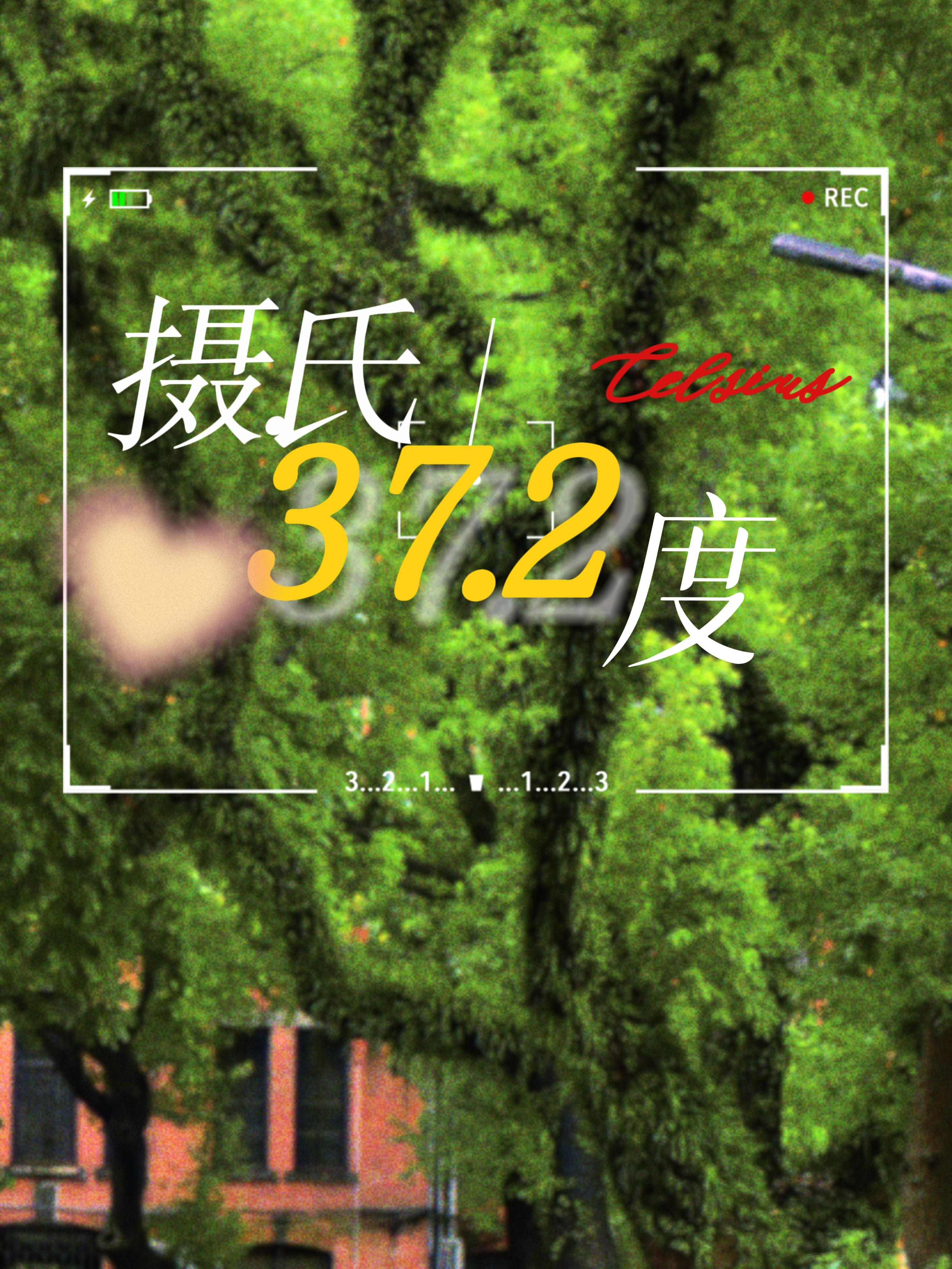[排球少年]摄氏37.2度（黑尾相关）