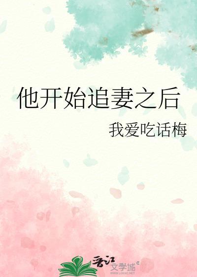他开始追妻之后
