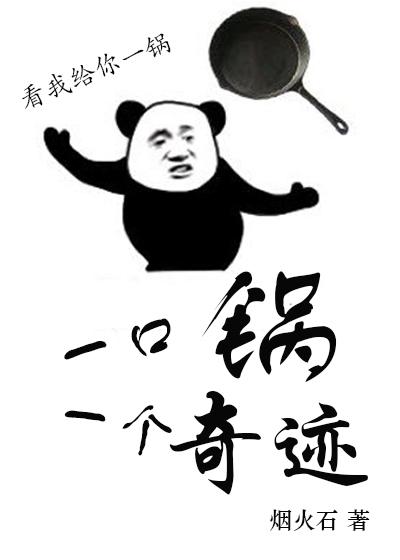 一口锅一个奇迹[机甲]