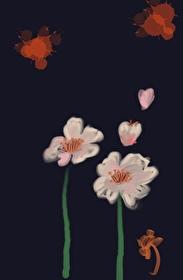杀手老公,下厨宠我