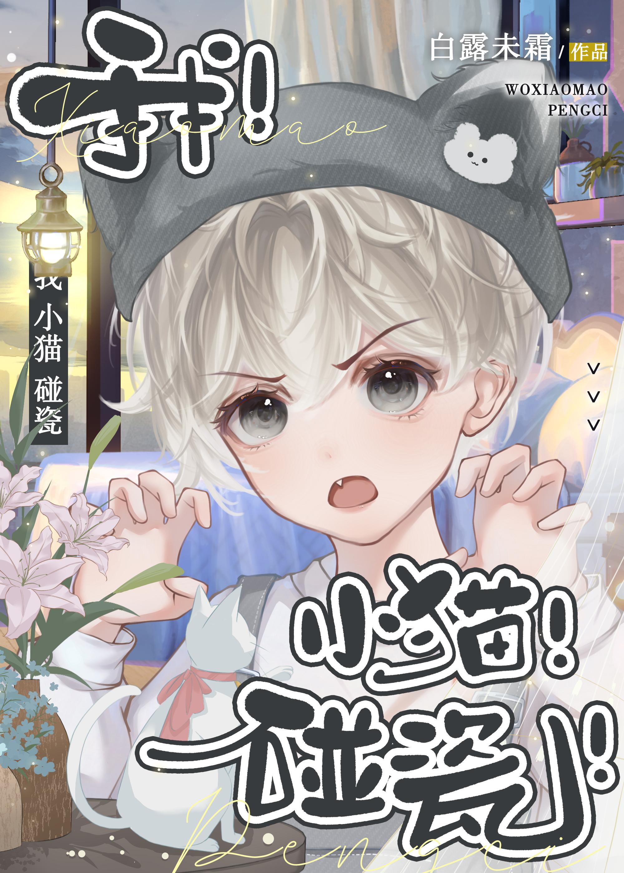 我,小猫,碰瓷