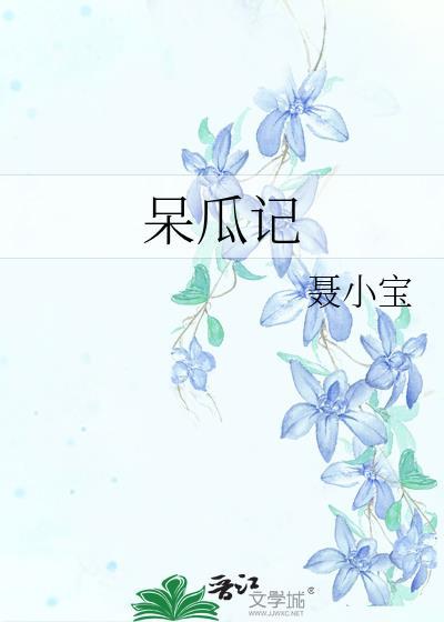 呆瓜记