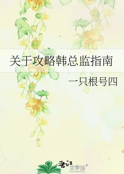 关于攻略韩总监指南