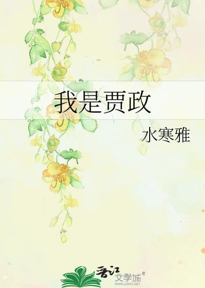 我是贾政