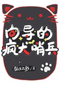 向导的疯犬哨兵