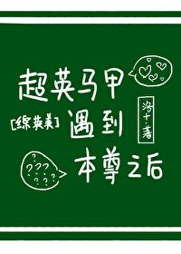 [综英美]超英马甲遇到本尊之后