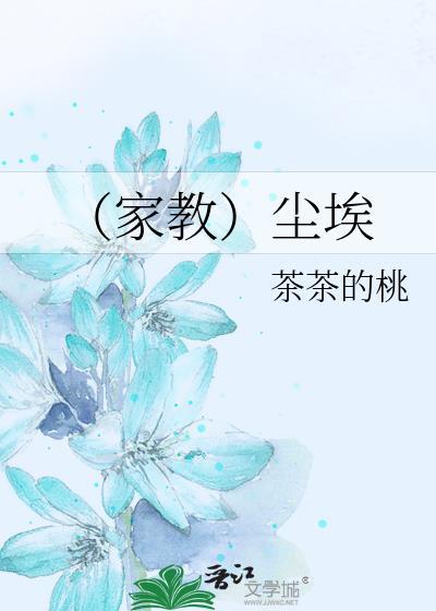 (家教)尘埃