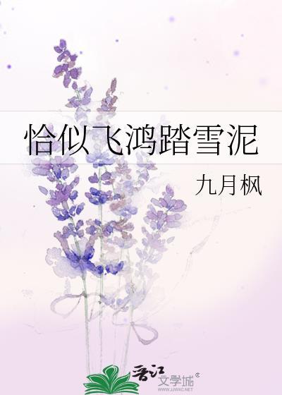 恰似飞鸿踏雪泥
